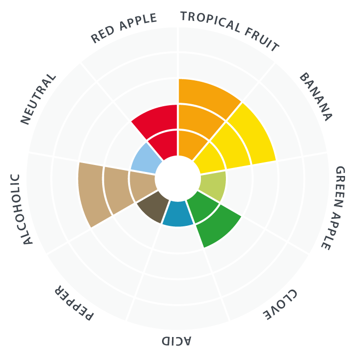 Lallemand Abbaye Belgian-Style